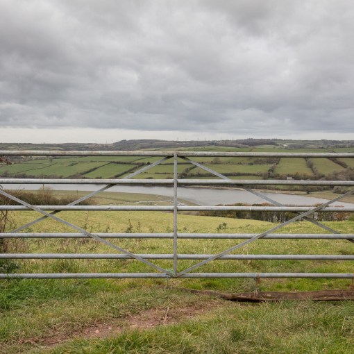 River Towy, Near Carmarthen, Dyfed.