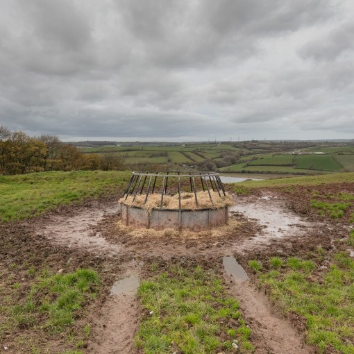 Circular Feeder, Near Carmarthen, Dyfed.