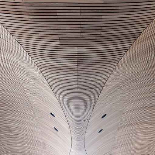 Cedar wood ceiling inside the National Assembly for Wales, Cardiff Bay. Architect: Richard Rogers Partnership.