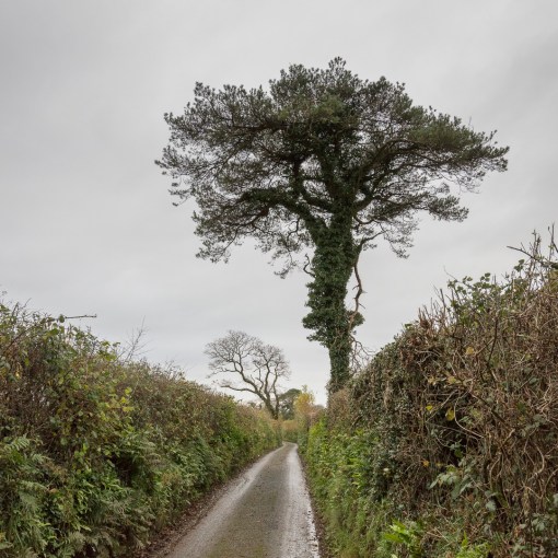 Road near Llangain, Gwent.