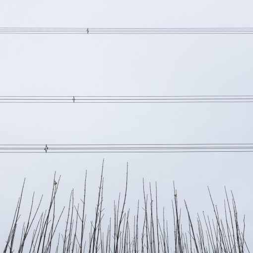 Overhead power lines, near Llangain, Gwent.