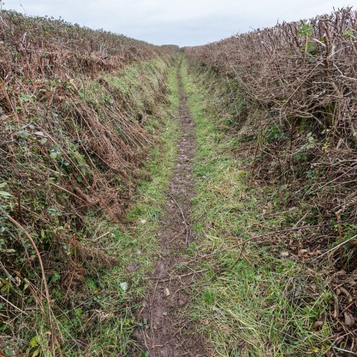 Path to Llansteffan, Gwent.