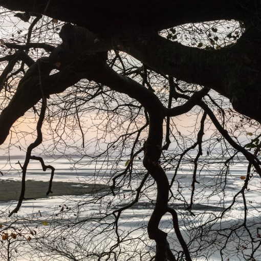 River Taf at dawn, Laugharne, Dyfed.