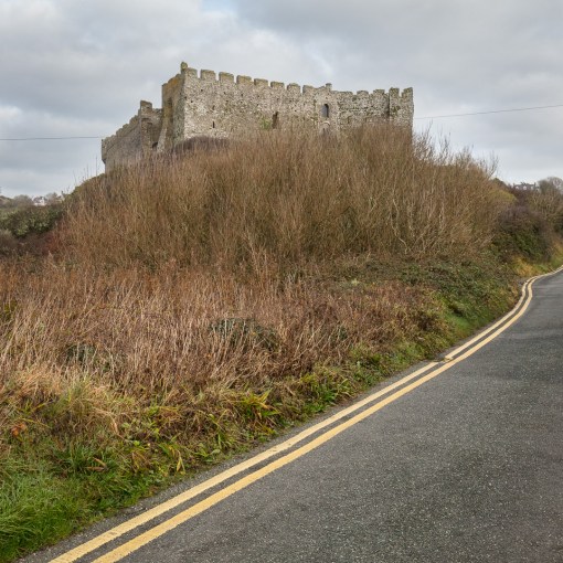 Double Yellow, Manorbier Castle, Dyfed.