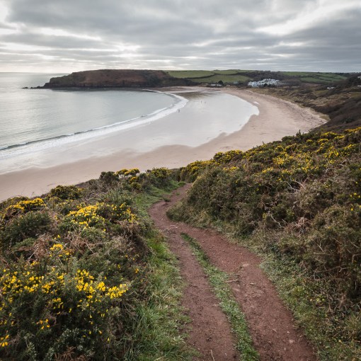 Coast path to Freshwater East, Dyfed.