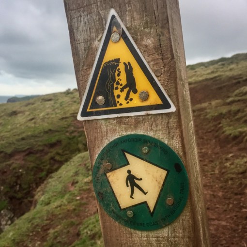 Decisions, decisions, Castles bay, Dyfed.