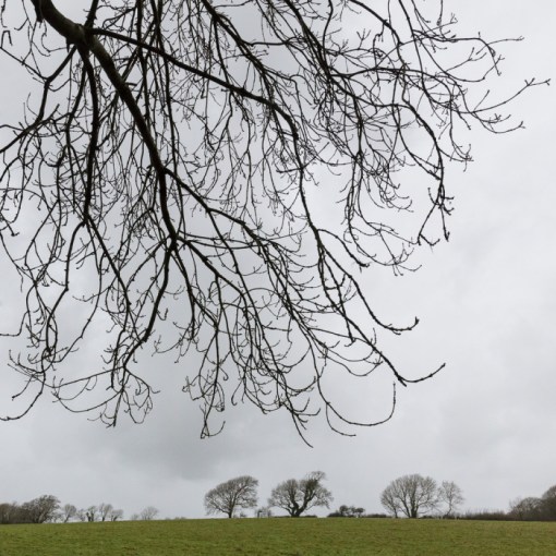 Bush Hill, Pembroke, Pembrokeshire.