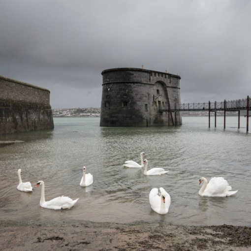 High Contrast. Martello tower, Pembroke Dock, Pembrokeshire.