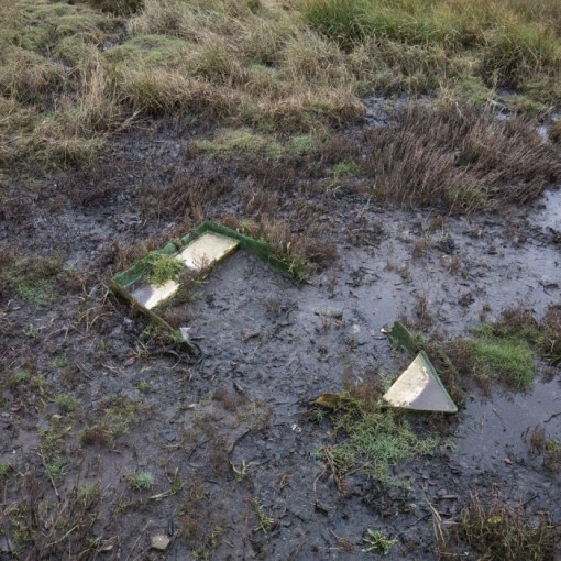 Taking Root. Neyland, Pembrokeshire.