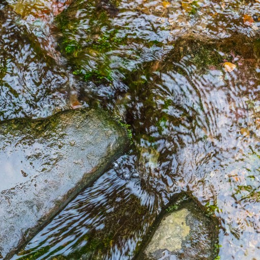 St. Non’s Well, said to have sprung up during a thunderstorm when St. David was born about 500 AD. Its waters are reputed to have healing properties, St Davids, Pembrokeshire.
